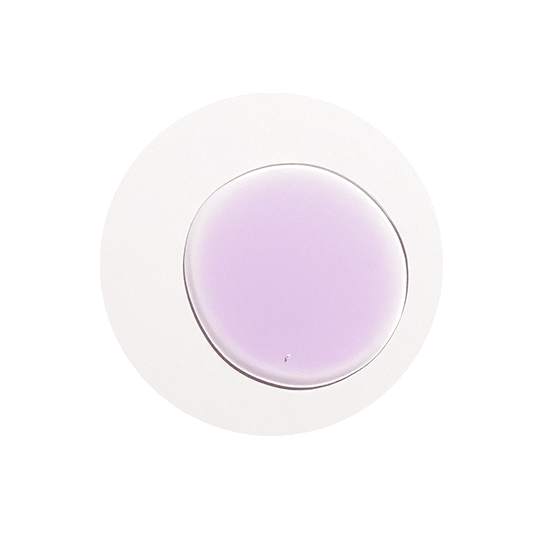 files/B3_Nicotinamide_reduced.png