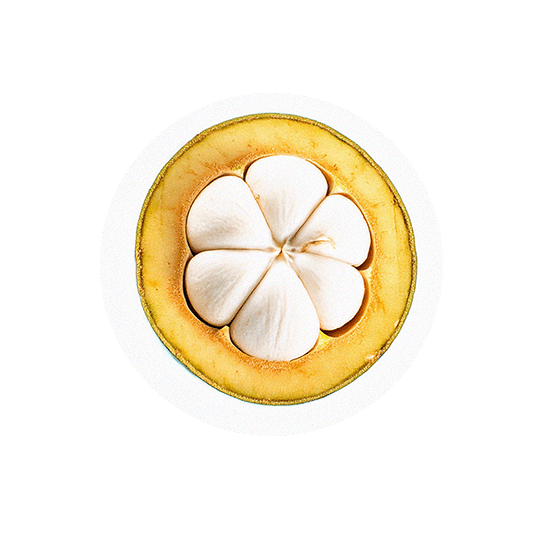 files/Garcinia_reduced.png